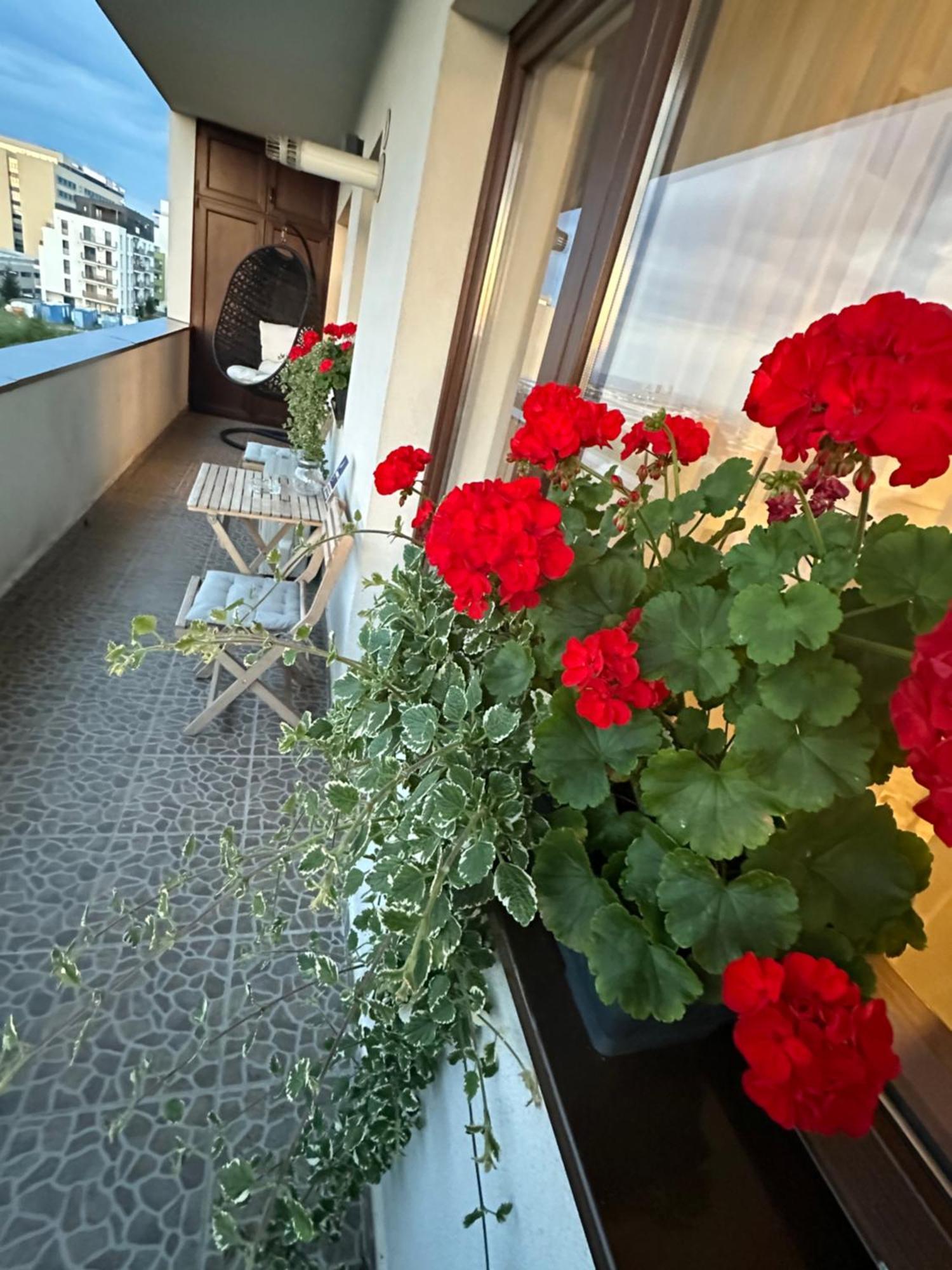 Wonderful View Apartamento